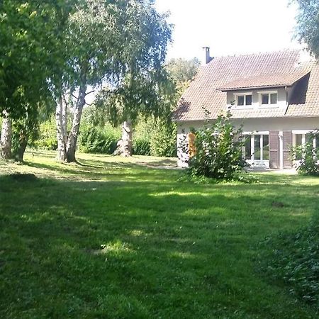 Villa - Coulommiers - Parcs Des Felins - Provins Beautheil-Saints 外观 照片