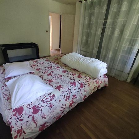 Villa - Coulommiers - Parcs Des Felins - Provins Beautheil-Saints 外观 照片