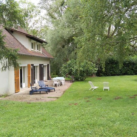 Villa - Coulommiers - Parcs Des Felins - Provins Beautheil-Saints 外观 照片
