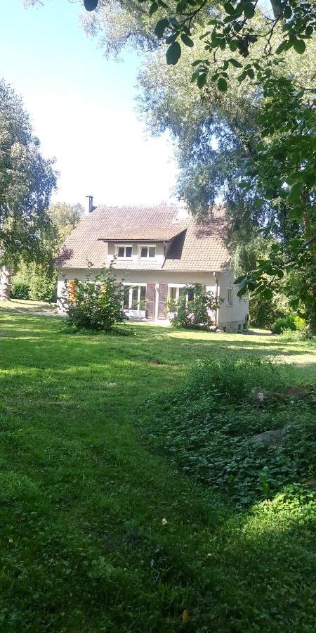 Villa - Coulommiers - Parcs Des Felins - Provins Beautheil-Saints 外观 照片