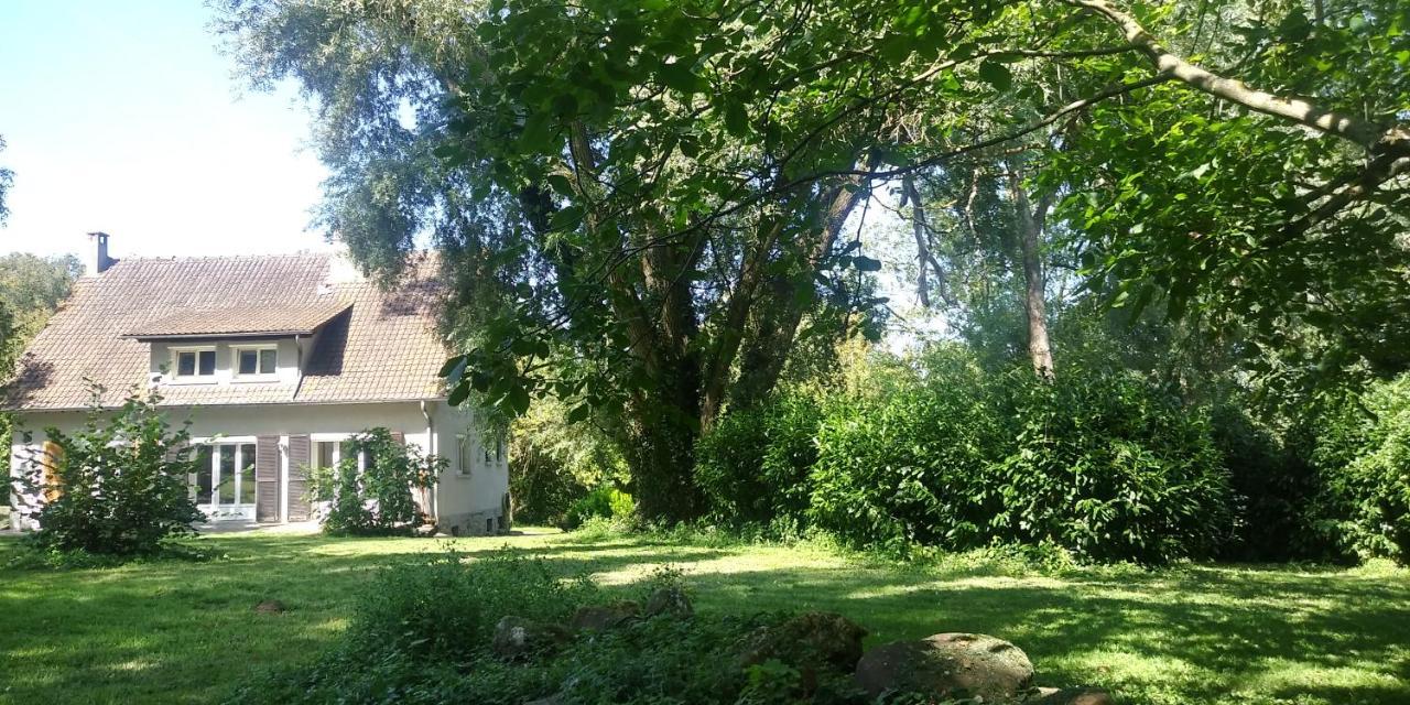 Villa - Coulommiers - Parcs Des Felins - Provins Beautheil-Saints 外观 照片