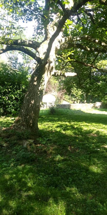 Villa - Coulommiers - Parcs Des Felins - Provins Beautheil-Saints 外观 照片