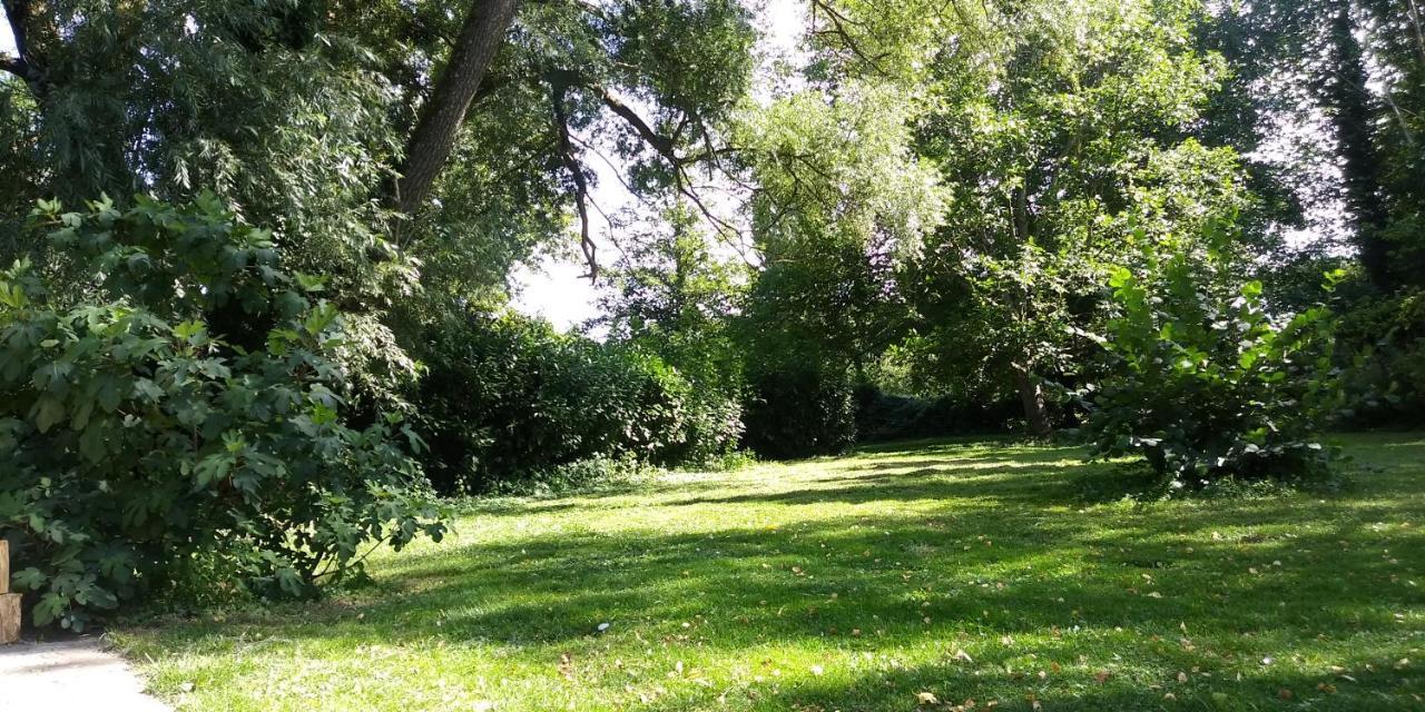 Villa - Coulommiers - Parcs Des Felins - Provins Beautheil-Saints 外观 照片