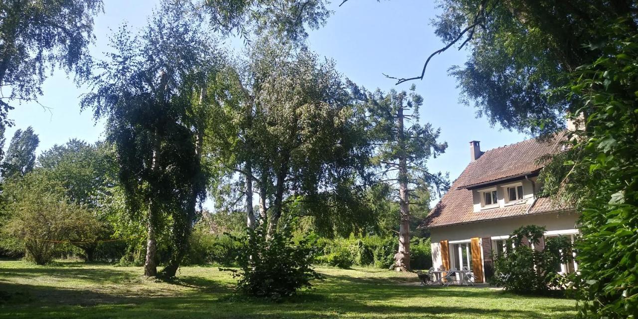 Villa - Coulommiers - Parcs Des Felins - Provins Beautheil-Saints 外观 照片
