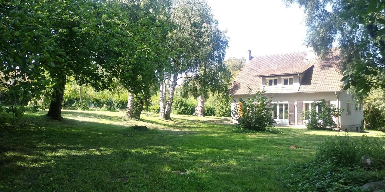 Villa - Coulommiers - Parcs Des Felins - Provins Beautheil-Saints 外观 照片