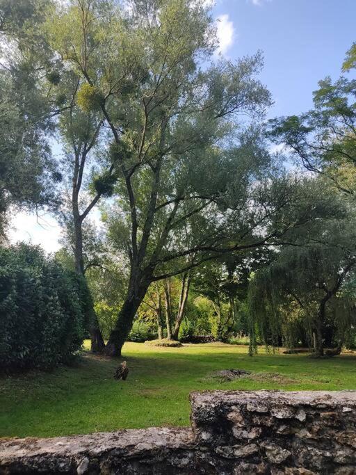 Villa - Coulommiers - Parcs Des Felins - Provins Beautheil-Saints 外观 照片