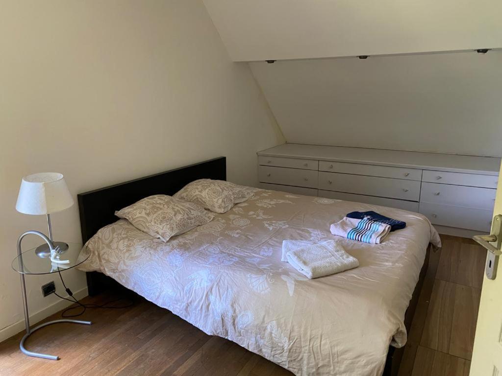 Villa - Coulommiers - Parcs Des Felins - Provins Beautheil-Saints 外观 照片
