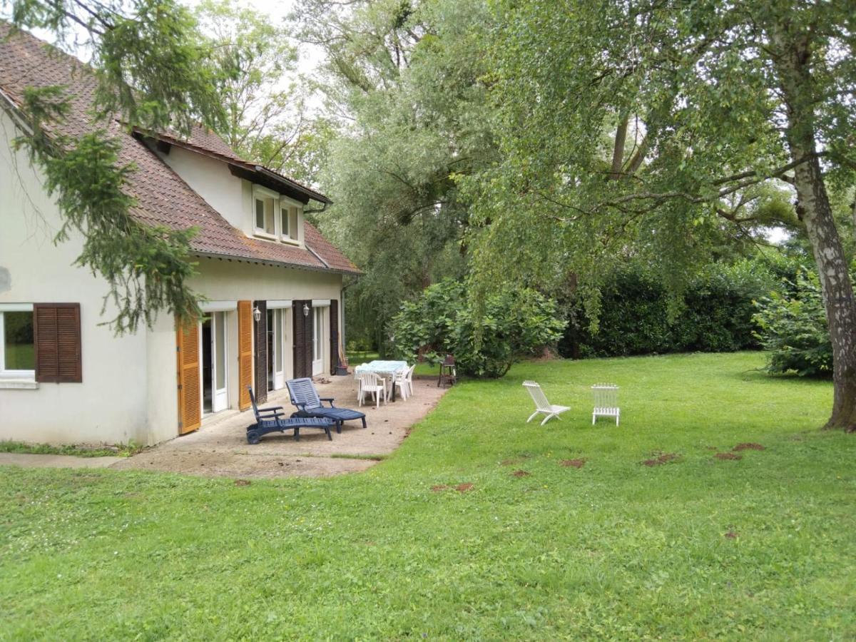 Villa - Coulommiers - Parcs Des Felins - Provins Beautheil-Saints 外观 照片
