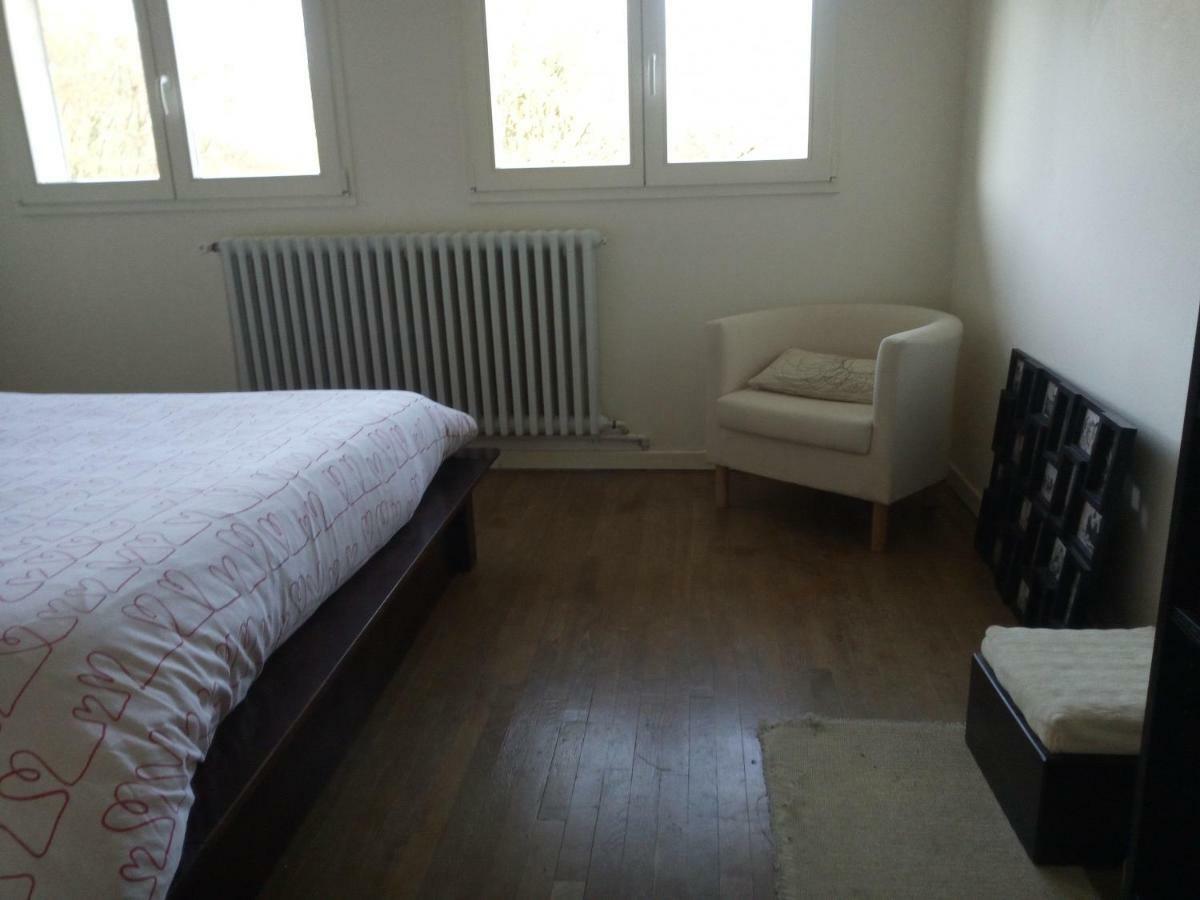Villa - Coulommiers - Parcs Des Felins - Provins Beautheil-Saints 外观 照片